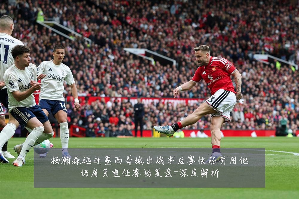 杨瀚森远赴墨西哥城出战季后赛快船弃用他仍肩负重任赛场复盘-深度解析