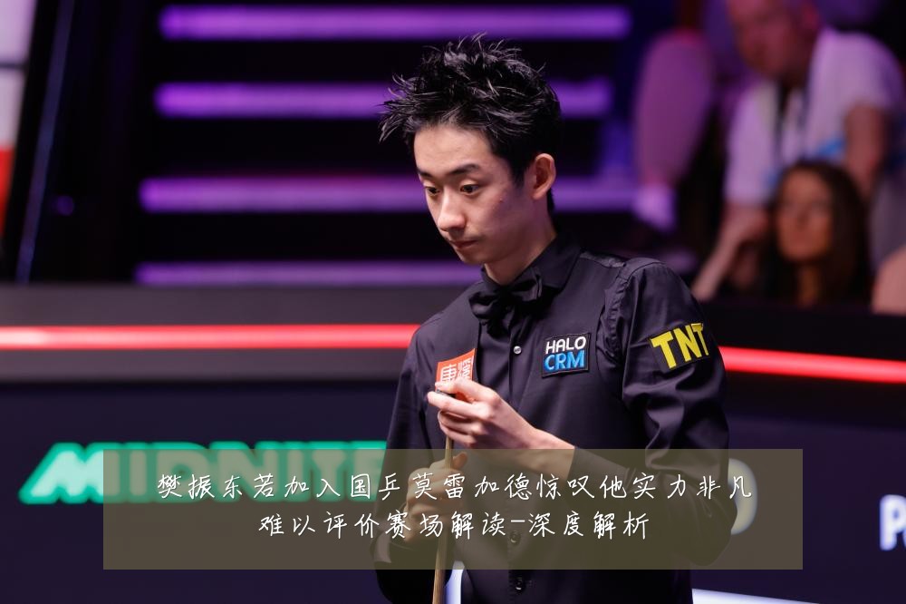 樊振东若加入国乒莫雷加德惊叹他实力非凡难以评价赛场解读-深度解析